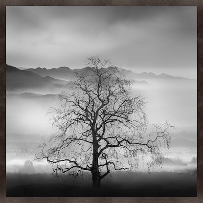47 x 47 Poetry of Silence (GFGP)