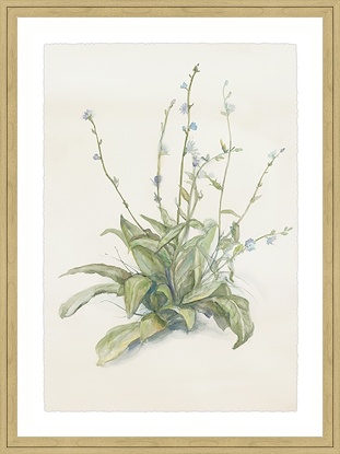 16 x 21 Whispering Blooms (GF)