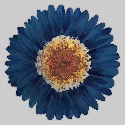 20 x 20 Blossom Day II (PF1CO1)
