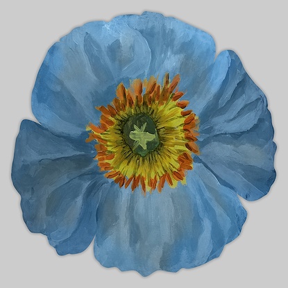 20 x 20 Blossom Day III (PF1CO1)