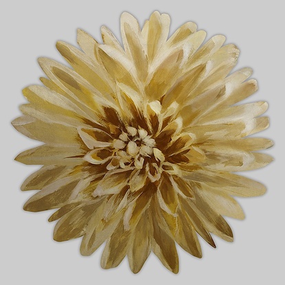 20 x 20 Blossom Day IV (PF1CO1)