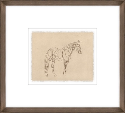 20 x 18 Equine Impression II (GF)