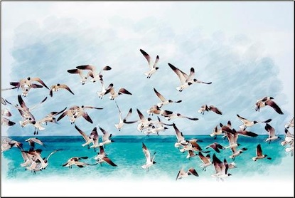 54 x 36 Gaviotas y Mar (IBG)