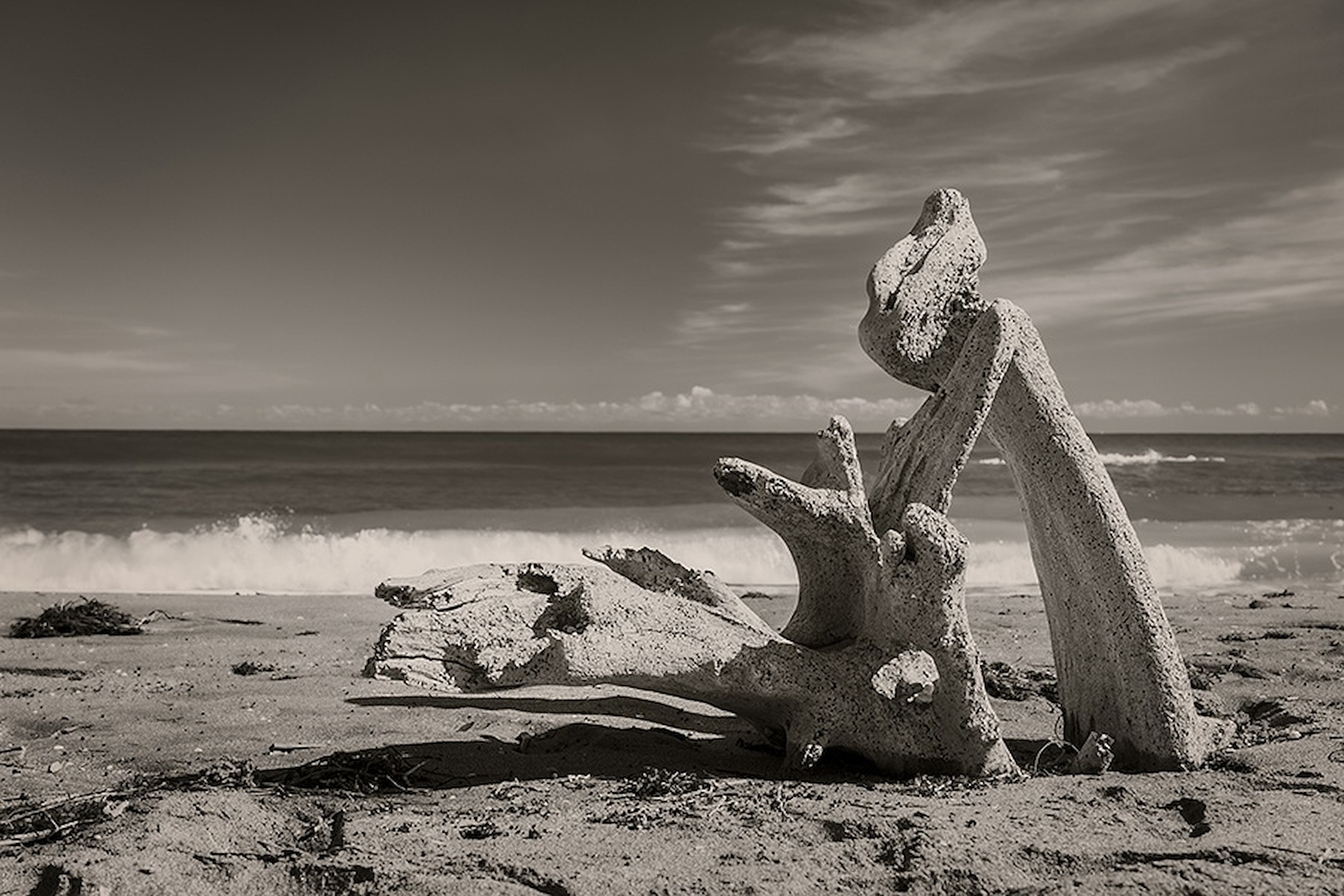 What Remains