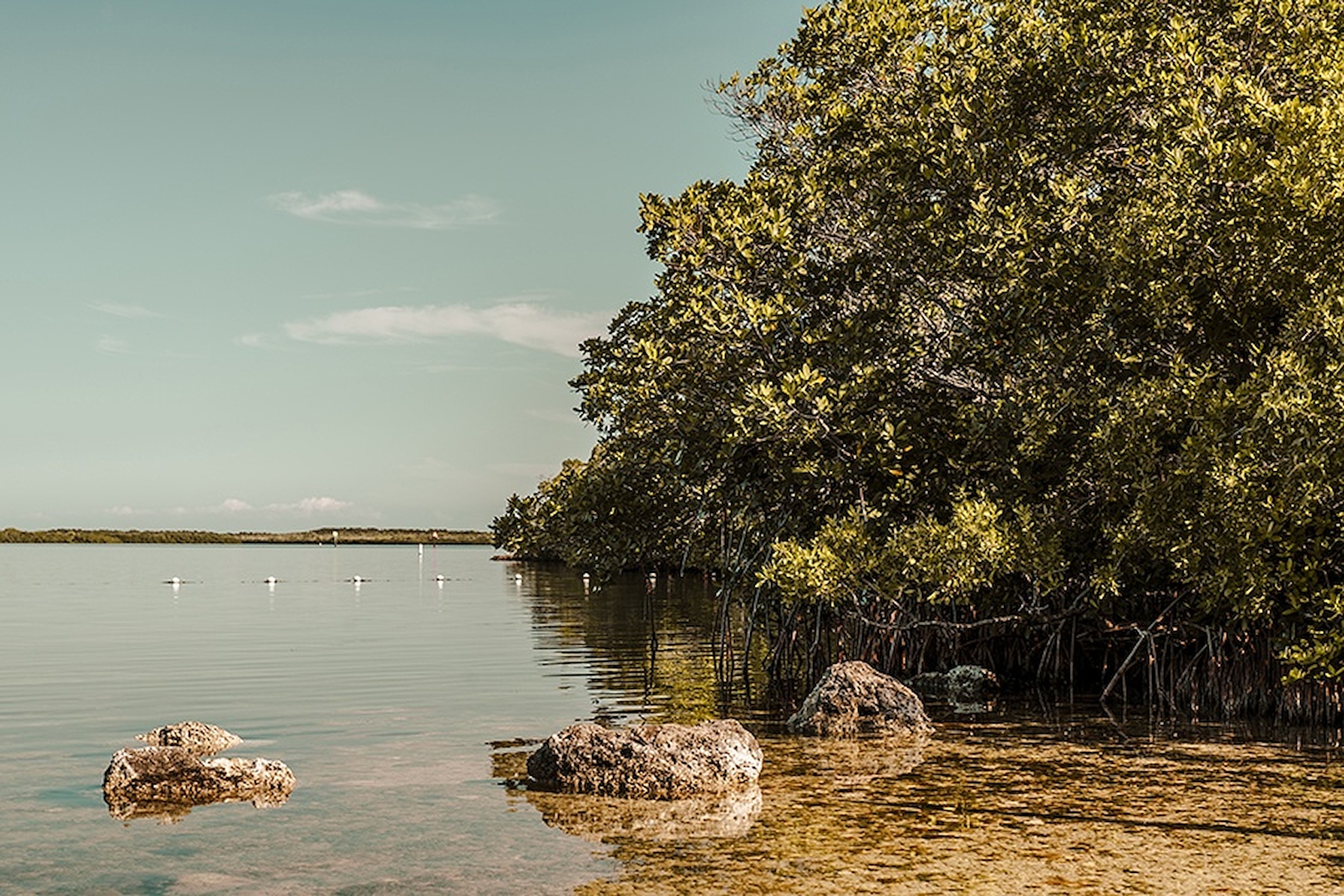 Lakelands