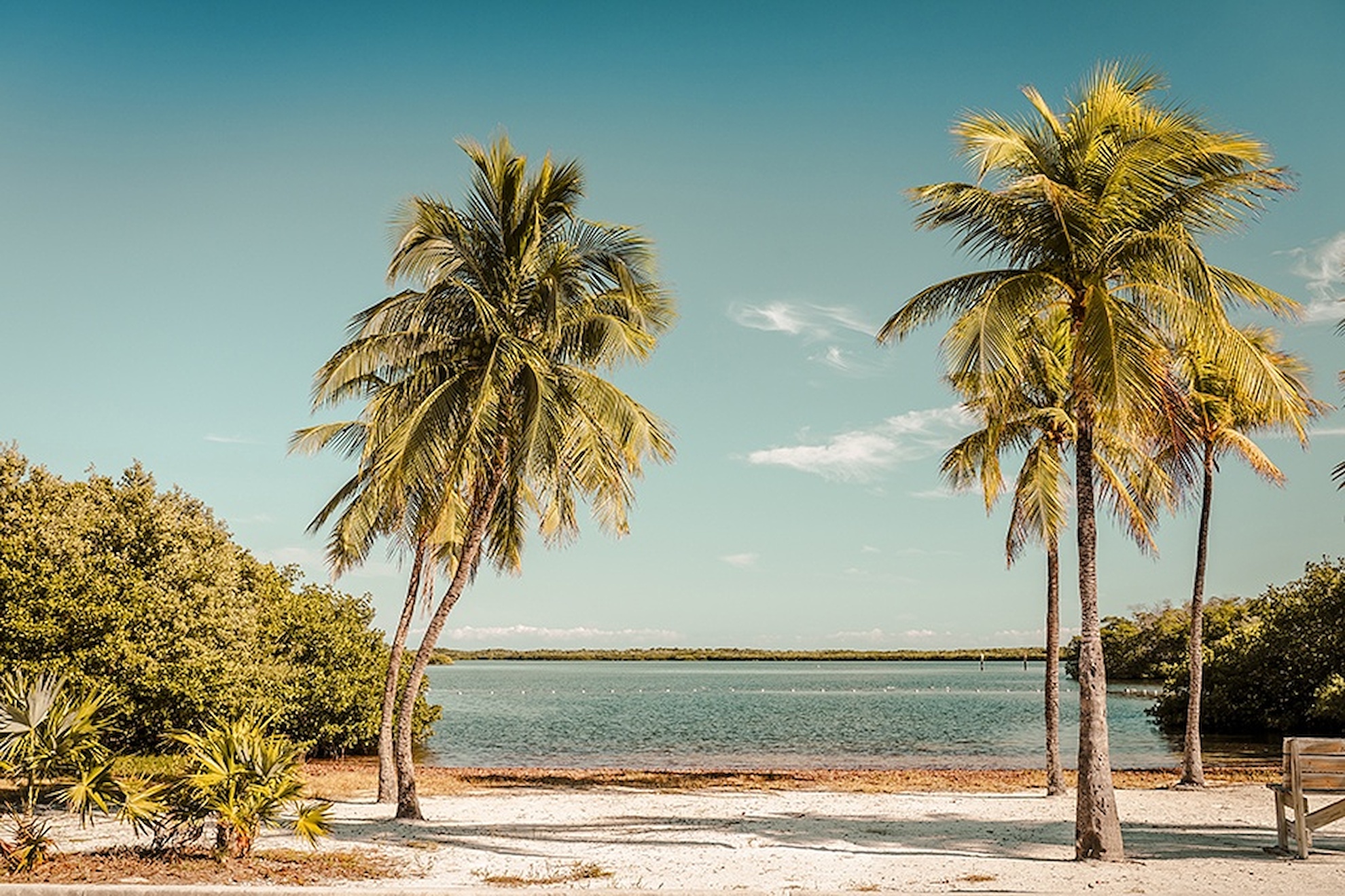 Palm Lake