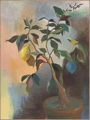 30 x 40 Lazy Afternoon (IBG)