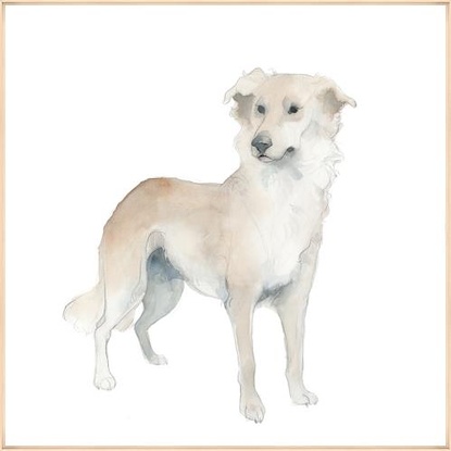 24 x 24 Caesar (IBG)