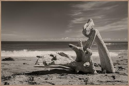 36 x 24 What Remains (IBG)