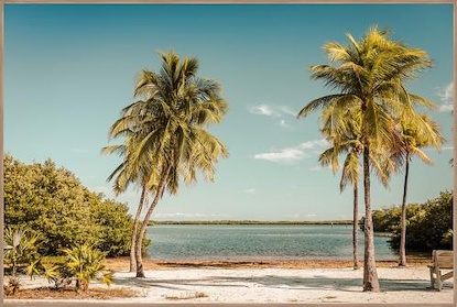 36 x 24 Palm Lake (IBG)