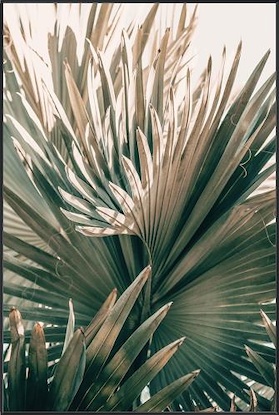 30 x 45 Pastel Palm IV (MT)