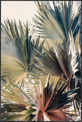 30 x 45 Pastel Palm III (MT)