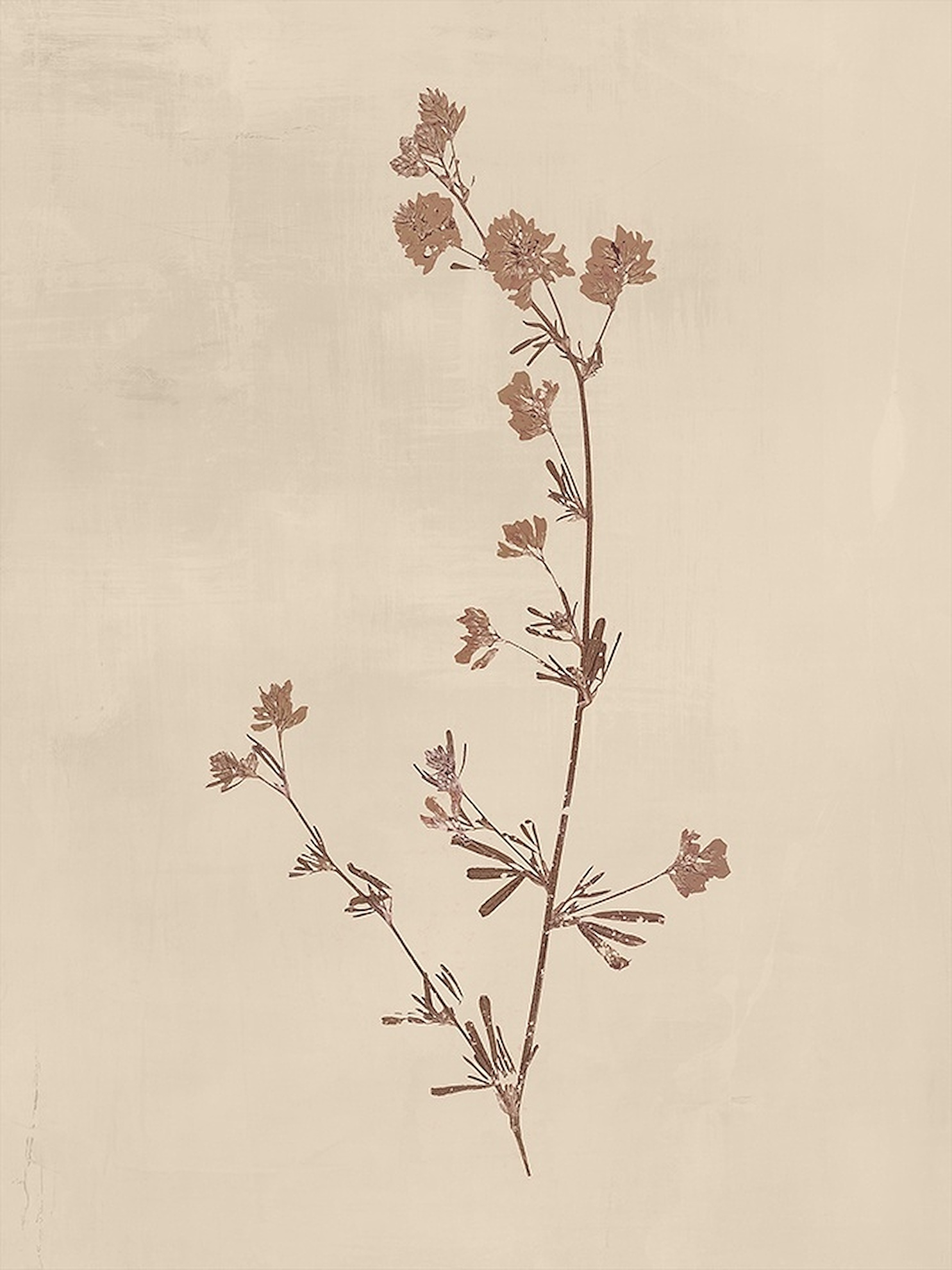 Floral VI