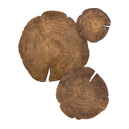 40 x 48.45 Embers of Growth V (Set of 3) (LBWDNAT-ST)