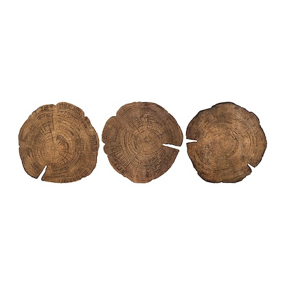 46.17 x 23 Embers of Growth VII (Set of 3) (LBWDNAT-ST)