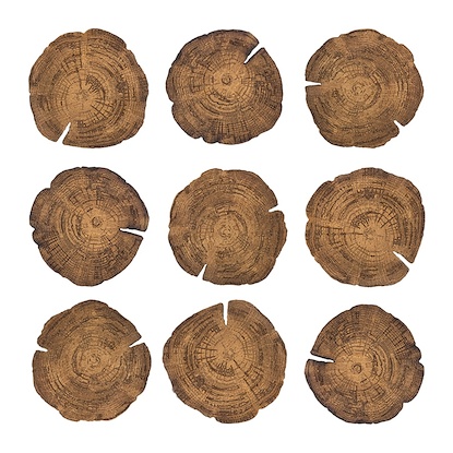 Embers of Growth VIII (Set of 9) (LBWDNAT-ST)