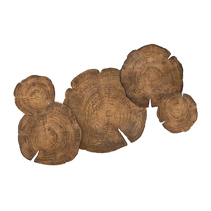 63 x 43.72 Embers of Growth VI (Set of 5) (LBWDNAT-ST)