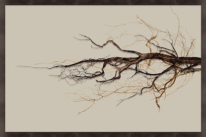 60 x 40 Solitude II (GFGP)