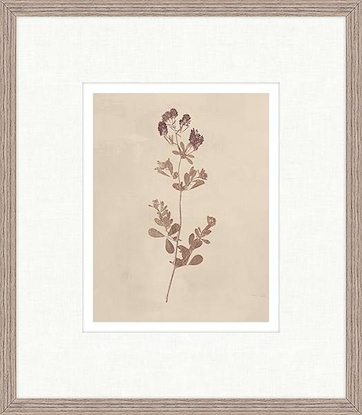 12 x 14 Floral III (GF)