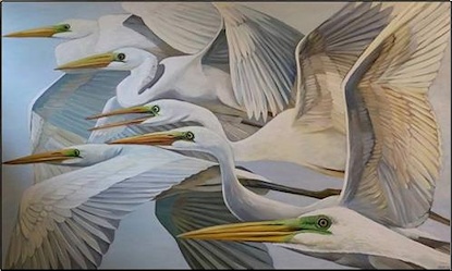 67 x 40 Ardea Alba (LN)