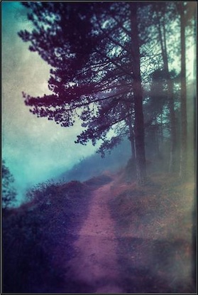 40 x 60 Into the Unknown (IBG)