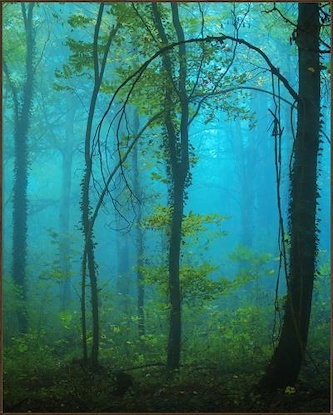 40 x 50 Emerald Mystery (IBG)