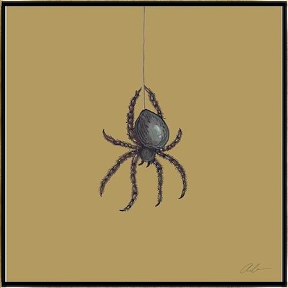 16 x 16 Spider than Air (IBG)