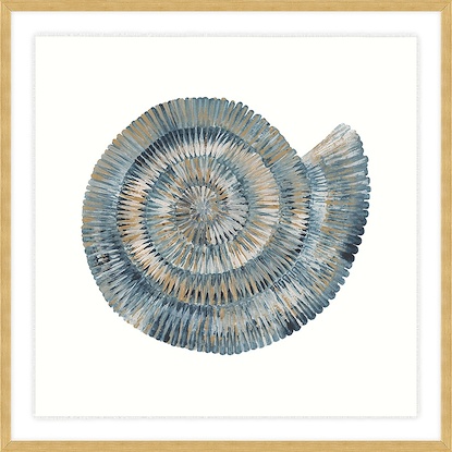 40 x 40 Spiral Season II (GF)