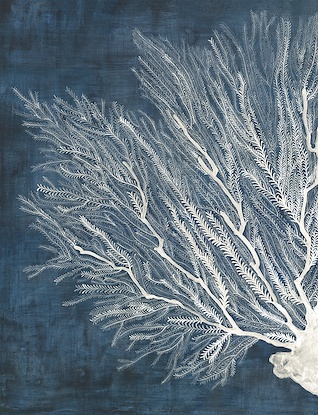 36 x 47 Density of Coral I (KG)