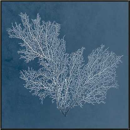 24 x 24 Beauty Under the Sea XIII (LN)