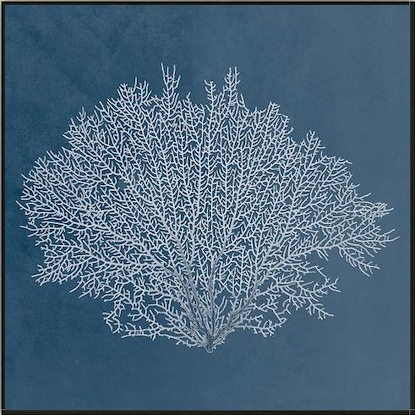 24 x 24 Beauty Under the Sea XIV (LN)