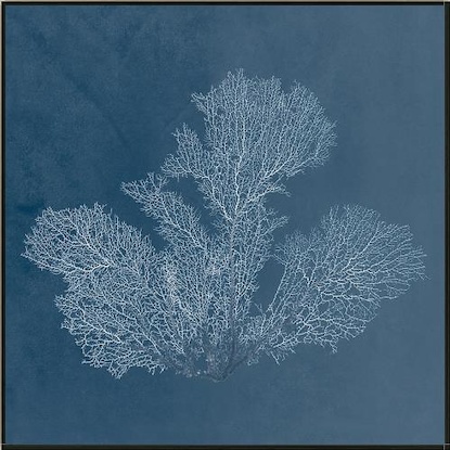 24 x 24 Beauty Under the Sea XVI (LN)