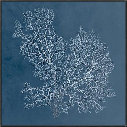 24 x 24 Beauty Under the Sea XV (LN)