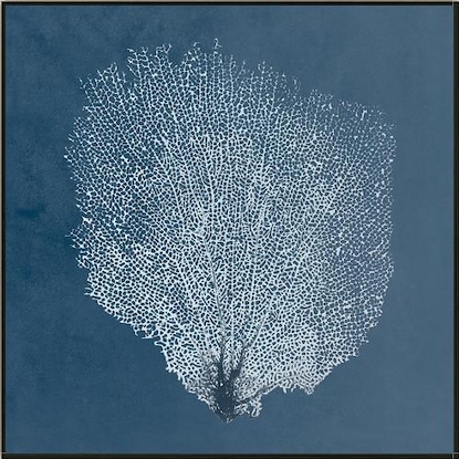 24 x 24 Beauty Under the Sea XVIII (LN)