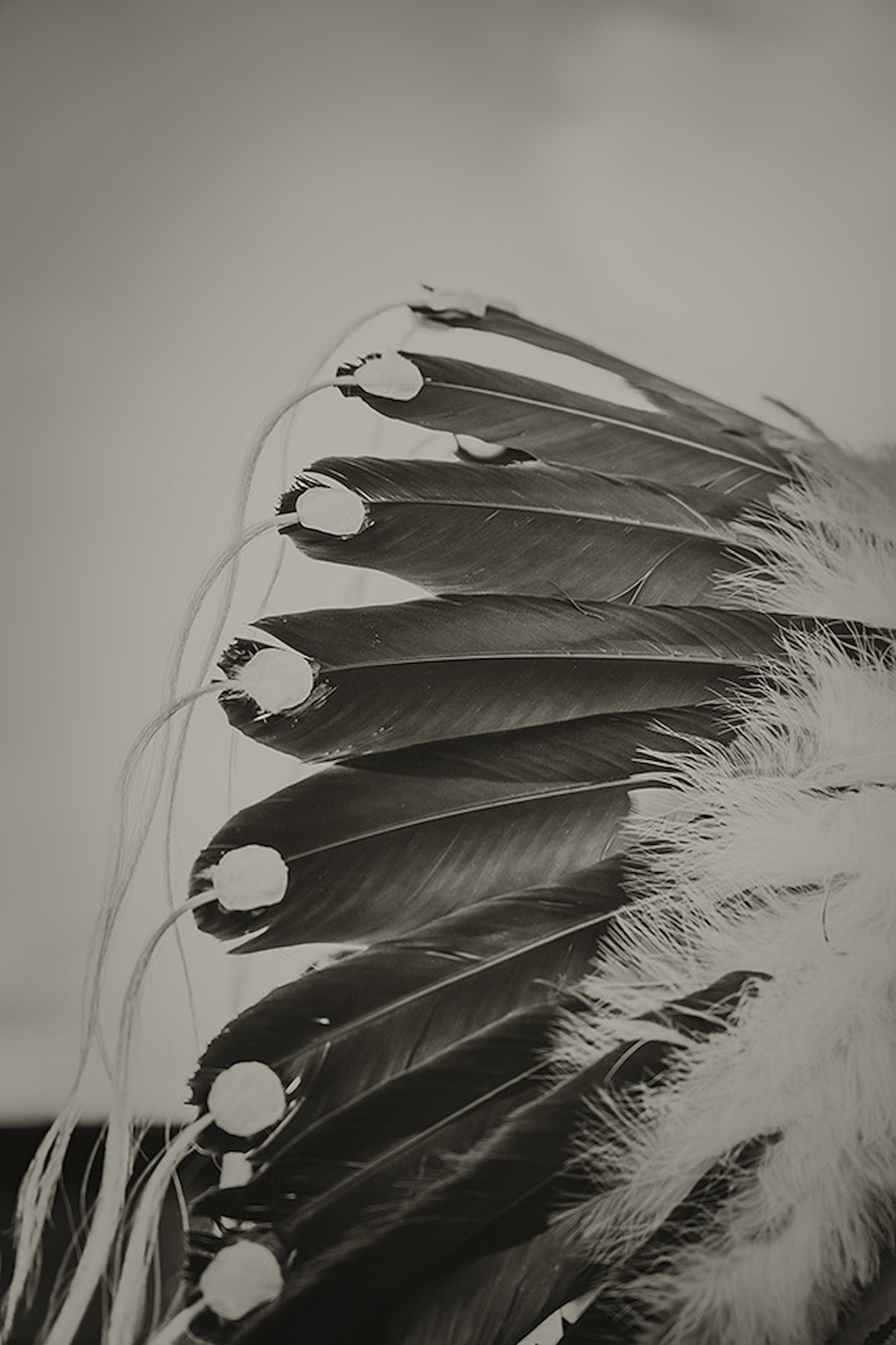 Show Feathers