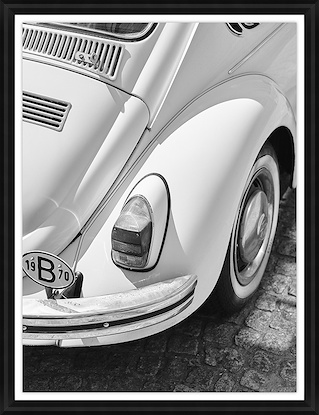 30 x 39 White Beetle (GF)