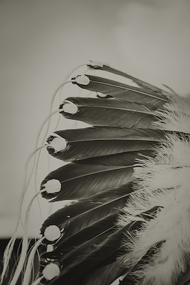 40 x 60 Show Feathers (FC)