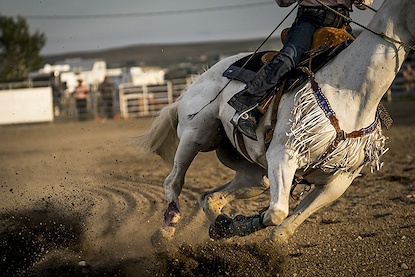 60 x 40 The Rodeo I (FC)