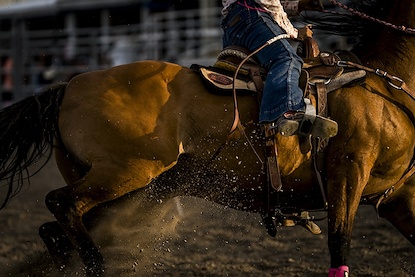 60 x 40 The Rodeo II (FC)