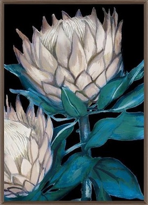 30 x 42 King Protea I (IBG)