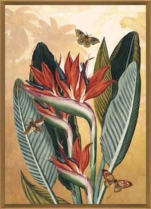 24 x 34 Curiosities II (LN)