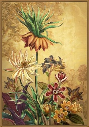 36 x 52 Curiosities III (LN)