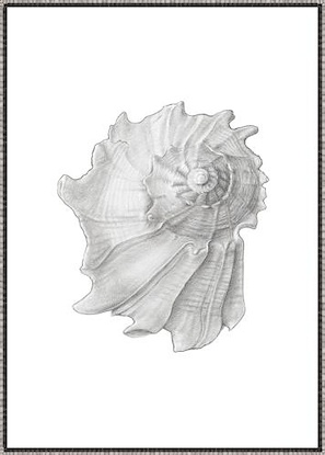 24 x 34 Whispers from the Shore I (LN)