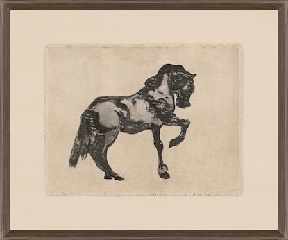 25.5 x 21.5 Equine Impression VII (TML)