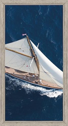 20 x 40 Aerial Adventure II (LN)