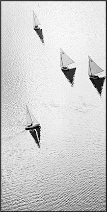 24 x 48 Broads Regatta-Noir I (PX)