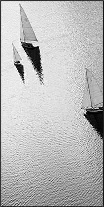 24 x 48 Broads Regatta-Noir II (PX)