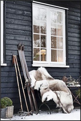 30 x 45 Winter Ski and Skin (FC)