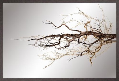 60 x 40 Solitude II (MIC)