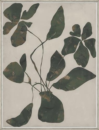 30 x 40 Still Life Silhouette II (LN)